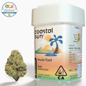 Coastal Sun - Indica - Mule Fuel - (3.5g)
