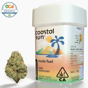 Coastal Sun - Coastal Sun - Indica - Mule Fuel - (3.5g)