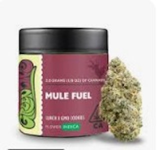 GREEN LINE - [Greenline] Flower - 3.5G - Mule Fuel (I)