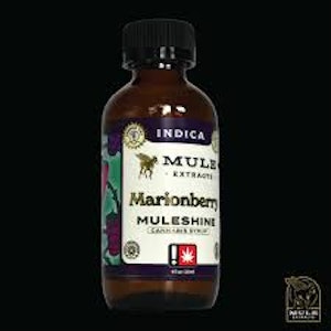 Mule Kickers - Muleshine 1000mg Marionberry Tincture (Indica)