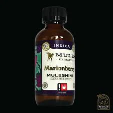 Mule Kickers - Muleshine 1000mg Marionberry Tincture (Indica) Main Image