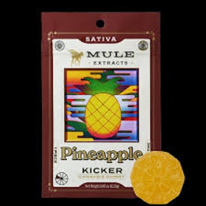 Mule Kickers - Mule Kickers 100mg Pineapple Sativa Gummies