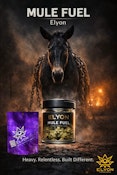 Elyon | Mule Fuel | 3.5g Flower