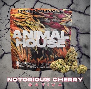 ANIMAL HOUSE - ANIMAL HOUSE | Notorious Cherry | 3.5G