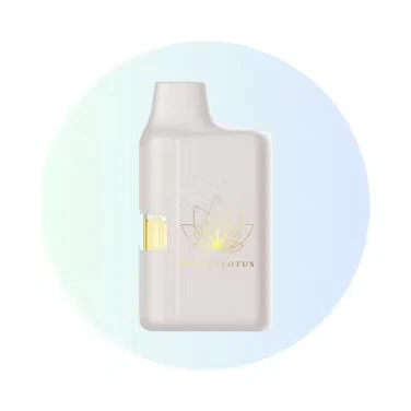 LIONHEART (MT) - Mango Milk Nano Pod || White Lotus || 1g Main Image