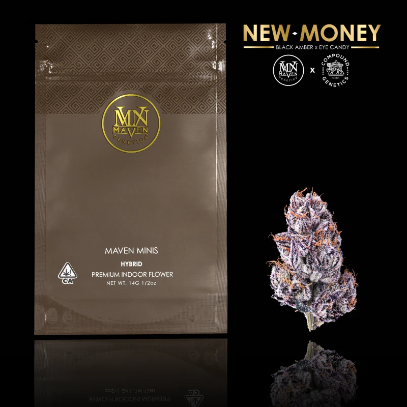 Maven Genetics - New Money (Minis) - 14g (H) - Maven Main Image