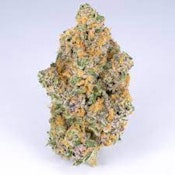 SnowTill | Grumpy Tiger premium indoor flower smalls 3.5g | 27.00% THC