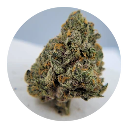 The Hempire Collective - THC - Night Cap Flower Main Image