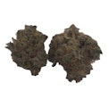 Pruf Cultivar Camarosa #5