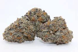 Rare Michigan Genetics - Buds - No Bake Main Image
