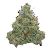 No Till Kings | White Widow #11 | 3.5g