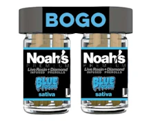 Noah's Premium BOGO Infused 5pk Prerolls 5g Blue Poison