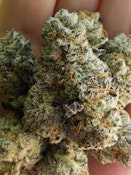  [MED] Noble Valley | JOMO #19 | Smalls 7g