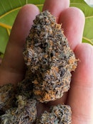 [MED] Noble Valley | Wingsuit #3 | 7g Flower