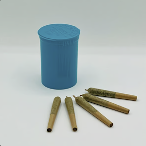 AGL - AGL 5 Pack Minis Night Owl Haze (S) 00448