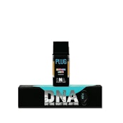 PLUG PLAY - NORTHERN LIGHTS 1G