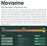 Find. | Novarine | Sativa (14G)