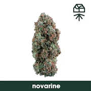 Grassroots | Novarine | 3.5g (sativa)