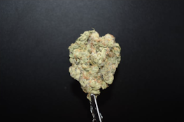Curaleaf Whole Flower 3.5g Nuclear Mfns (H) 00785