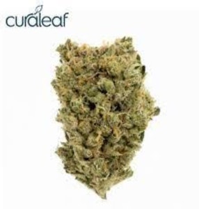 CURALEAF - Curaleaf Whole Flower 3.5g Nuclear Mfns (H) 01132