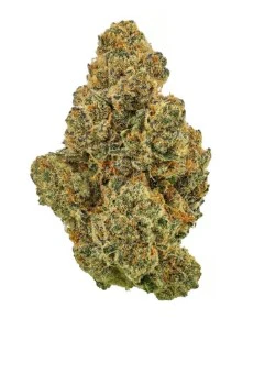 Revolution - Spicy Dunker Pre-Roll 5pk - 2.5g Main Image