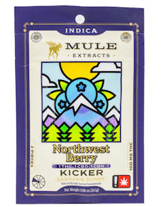 MULE EXTRACTS - Mule Extracts NW Berry 1:1:1 THC CBD CBN 2pc Kicker Gummy 100mg