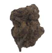 Pruf Cultivar Cheetah Cake