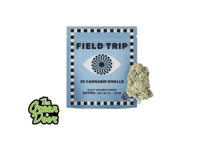 Field Trip - FIELD TRIP - NY Haze - Flower - 5G