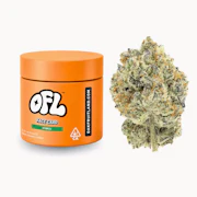 Oakfruitland - 7g - Face Card