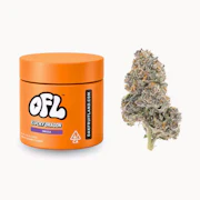Oakfruitland - 3.5g - Lucky Dragon