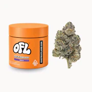 Oakfruitland - 7g - Pre 98 Bubba Kush