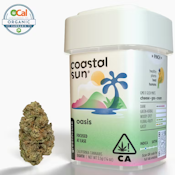 Coastal Sun - Indica - Oasis - (3.5g)