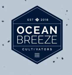 Ocean Breeze - Gary Eye's Flower - 3.5g - OBC Main Image