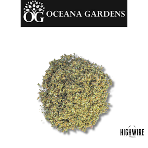 OCEANA GARDENS - Apple Pie Shake OZ