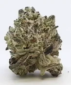 Octane Mintz - Deli Flower - Trailhead Cannabis