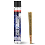Odyssey - 1g Pre Roll - Sunny P