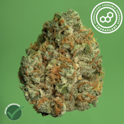 OG Kush 4824