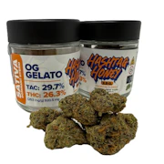 Hashtag Honey - OG Gelato - 3.5g