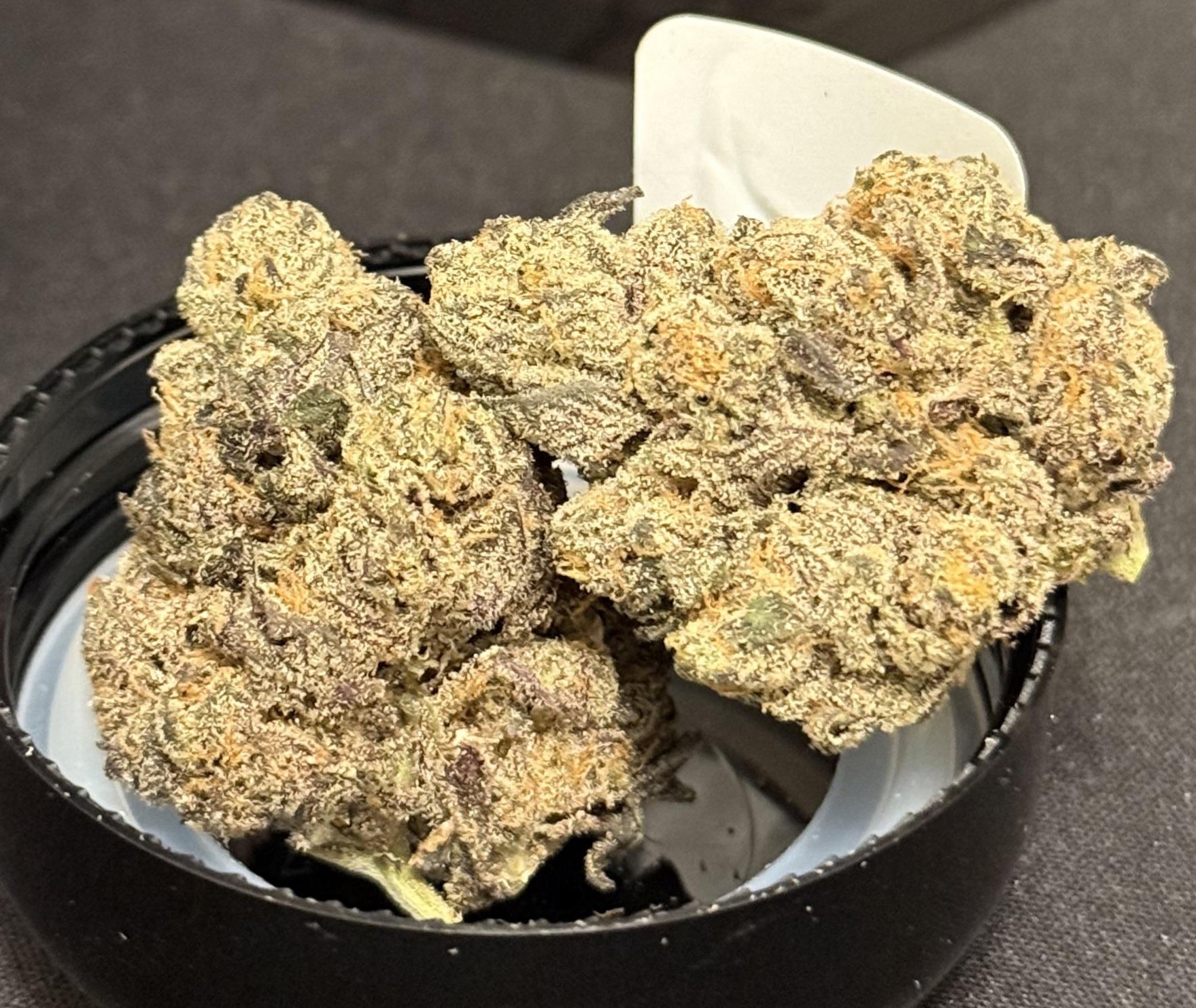 Noble | Oh-Asis | 7g