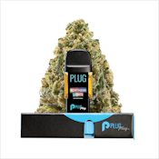 PLUGPLAY | NORTHERN LIGHTS - POD | CARTRIDGE | 1G