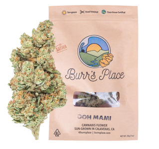 Burr's Place - Burr’s Place | Ohhhh Mami 7g Bag (Sativa)