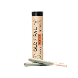 Old Pal - Durban Haze | Pre-roll | 0.5g 2pk