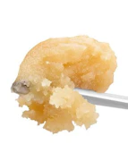 Olio - Cold Cured Rosin - Sunset Sherbert