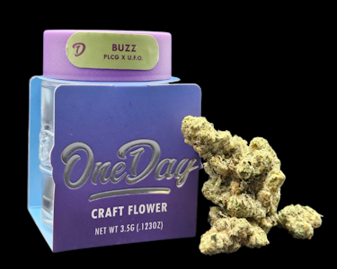 ONE DAY - Buzz Flower - 3.5g