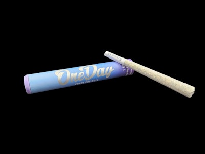 ONE DAY - Platinum Life Hack 113 Pre-Roll - 1g