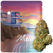 Seed Junky Genetics - 3.5g - Malibu