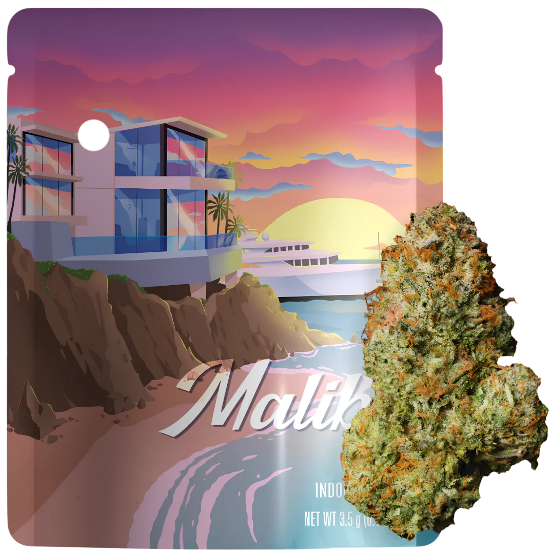 Seed Junky Genetics - Seed Junky Genetics - 3.5g - Malibu Main Image