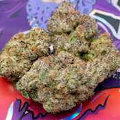 Teds Budz - Ooze Flower - 3.5G