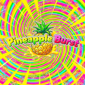 Pineapple Burst 1g Live Rosin