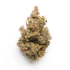 Product Preview Image 1